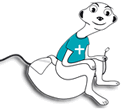 Meerkat